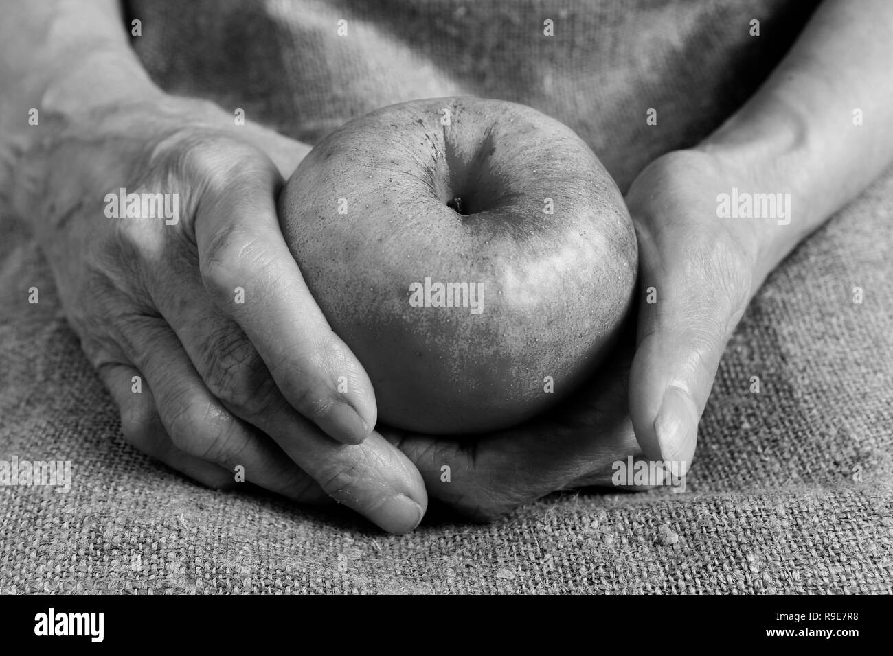 Une pomme mûre dans les mains d'une vieille femme. Partie du corps. Banque D'Images