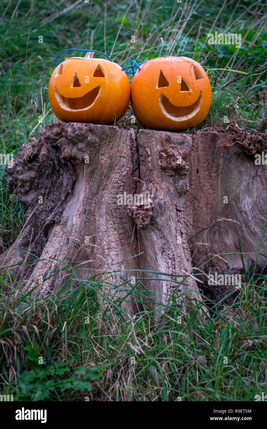 Deux citrouilles sur souche d'arbre avec le visage coupé pour l'halloween Banque D'Images