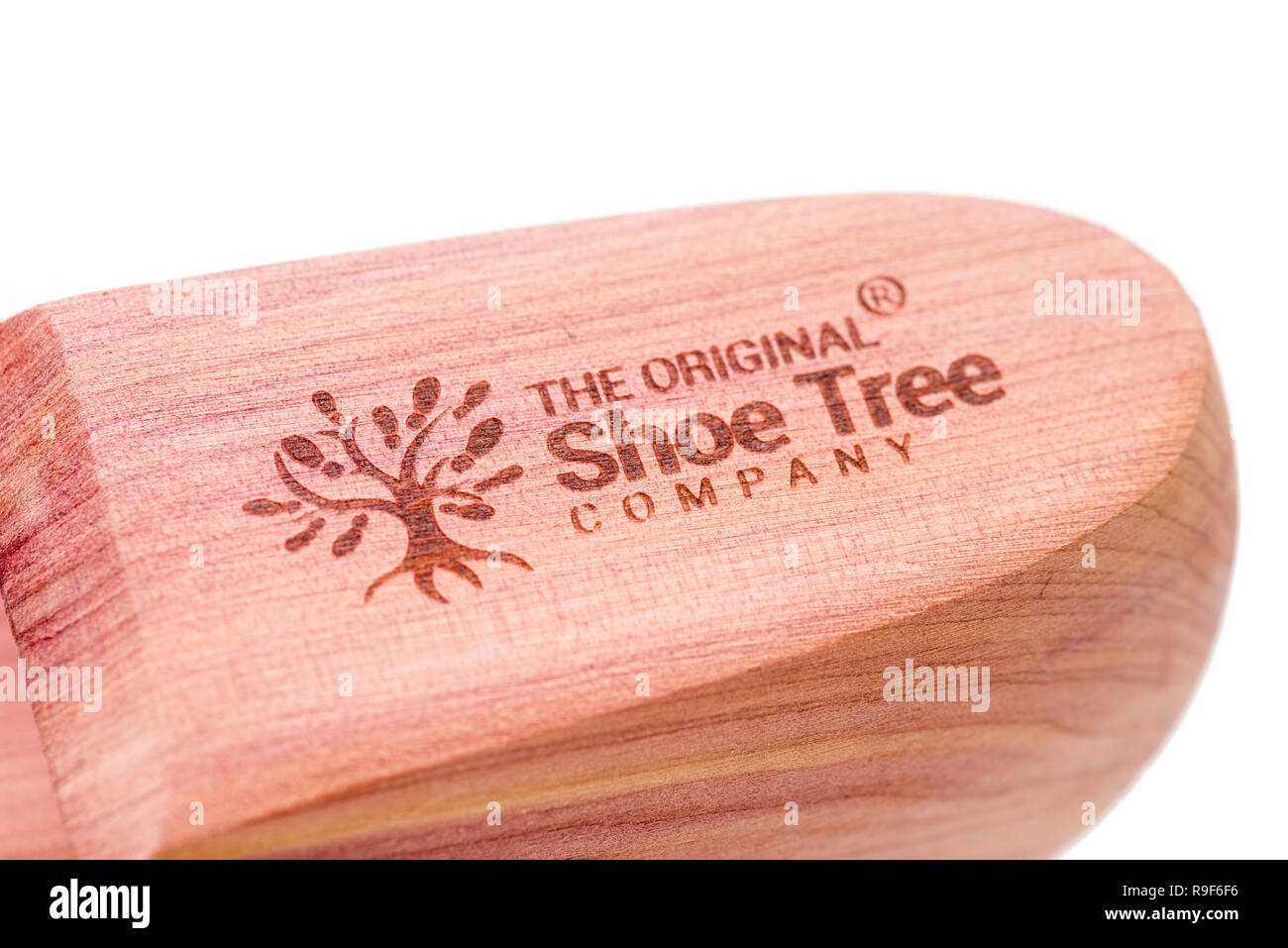 Winneconne, WI - 18 décembre 2018 : Une chaussure faite à partir de l'arbre du cèdre original shoe tree company sur un fond isolé. Banque D'Images