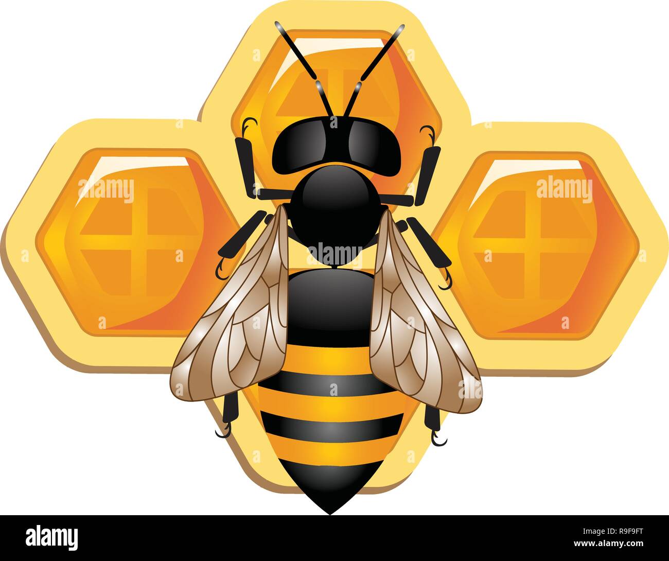 Les cellules de cire avec sweet bee honey,Vector - honeycomb isolated on white bavkground,les abeilles et le miel, les abeilles travail vectoriel sur Nid d'Bourdon,Clip Miel Illustration de Vecteur