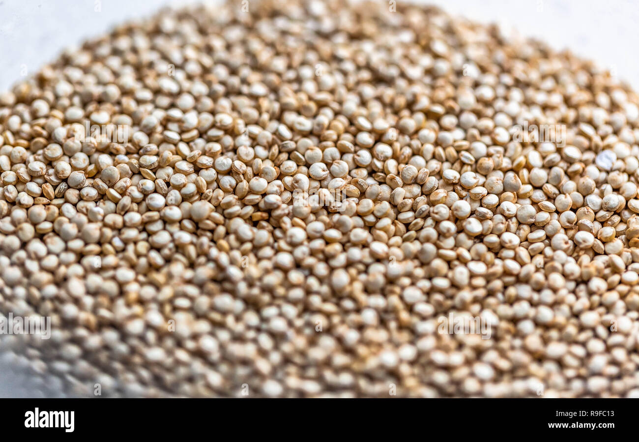 Un cercle de grains d'orge perle non cuits. Banque D'Images