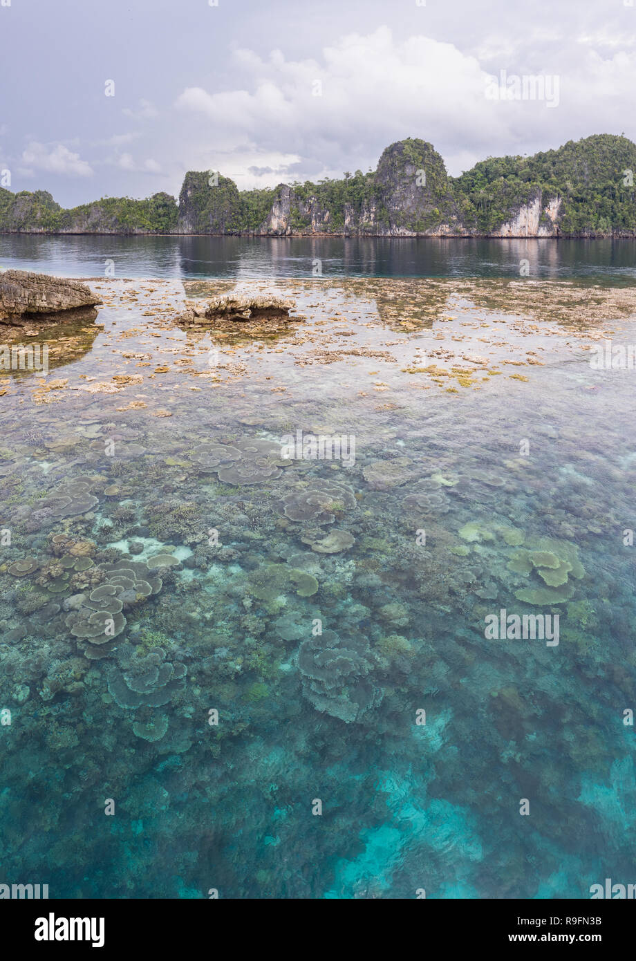 Îles calcaires dans Raja Ampat, en Indonésie, sont entourées de récifs coralliens en bonne santé. Cette région riche en biodiversité, est connu comme le cœur du Triangle de Corail. Banque D'Images
