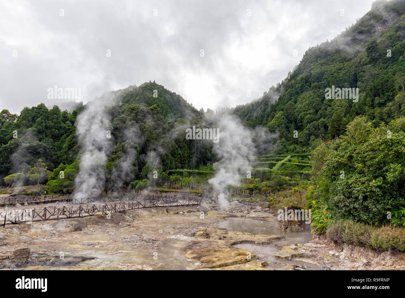 La vapeur s'élève à l'Fumarolas da Lagoa das Furnas, près de la ville de Frunas à Sao Miguel. Banque D'Images