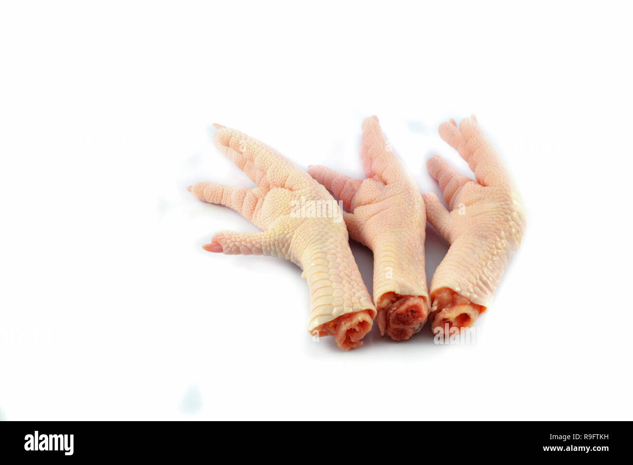 Pieds de poulet isolé sur fond blanc / pieds frais poulet cru ou à pied Banque D'Images