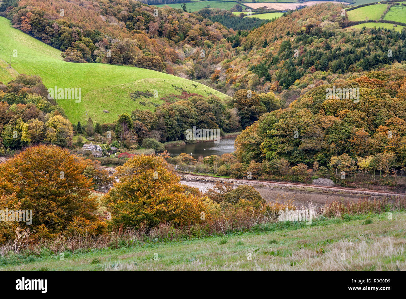 East Looe River de Trenant Bois ; Looe, Cornwall Banque D'Images