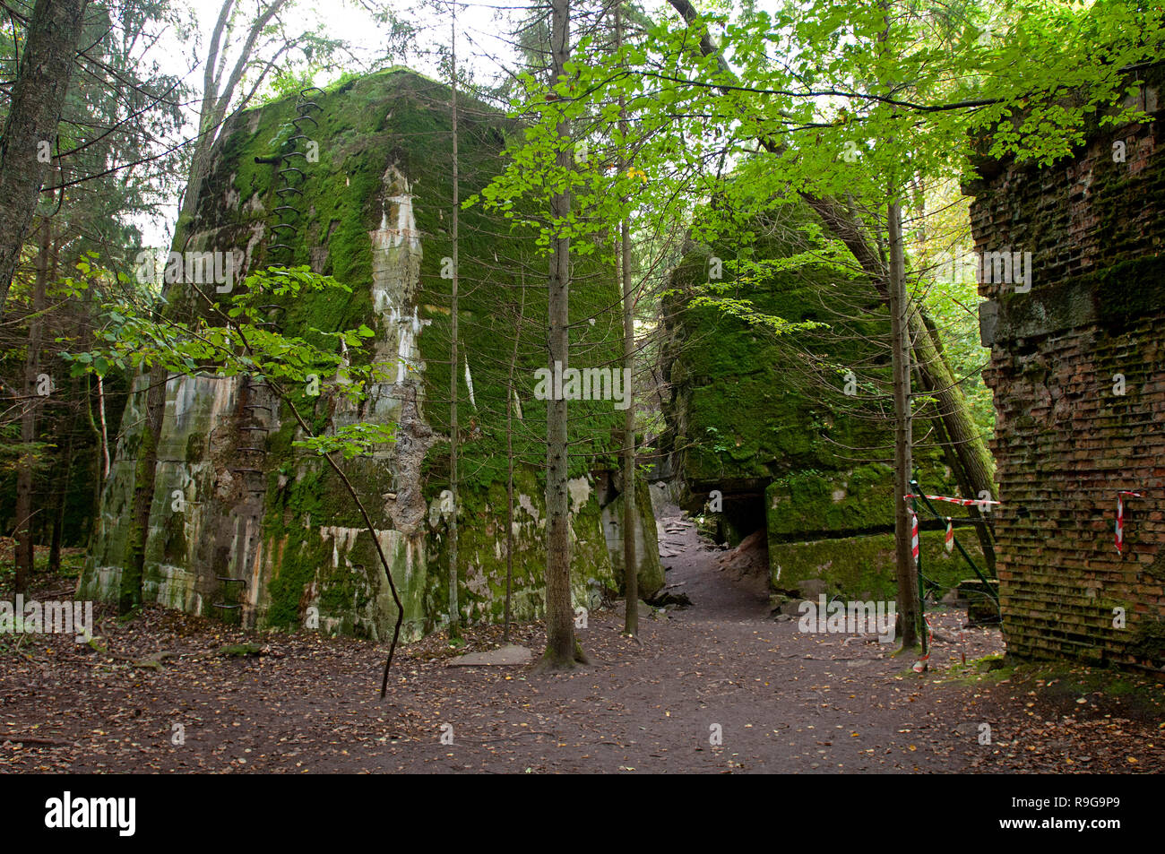 Vestiges de Wolf's Lair (allemand : Wolfsschanze), siège de l'ordre du Führer Adolf Hitler, de Rastenburg, la Mazurie, Pologne, Europe Banque D'Images