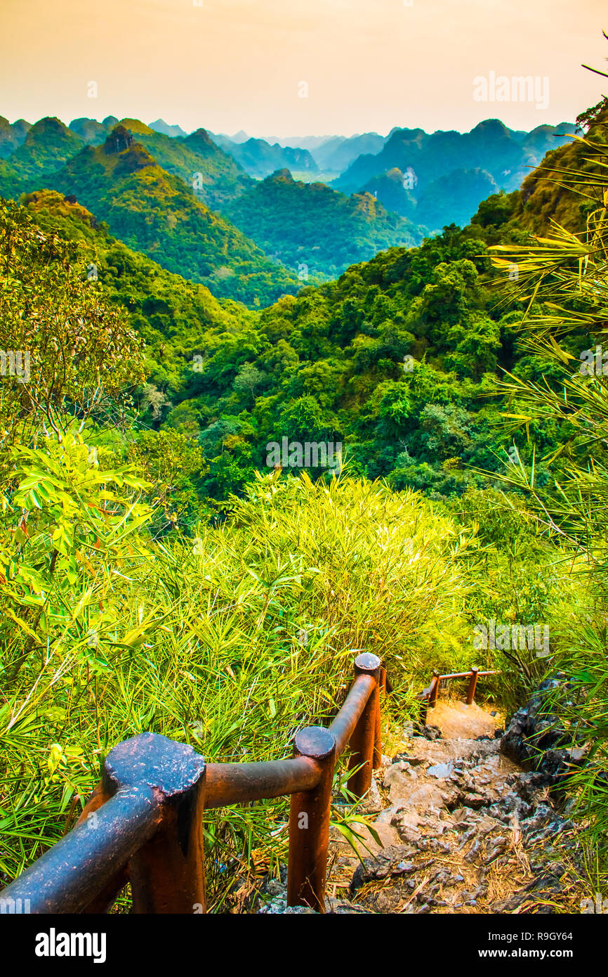 La baie d'Halong vue montagne de l'île de Cat Ba, Ngu Lam Peak au Vietnam Banque D'Images La baie d'Halong vue montagne de l'île de Cat Ba, Ngu Lam Peak au Vietnam Banque D'Images