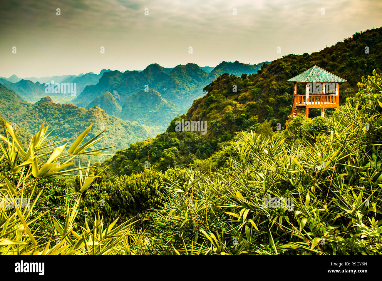 La baie d'Halong vue montagne de l'île de Cat Ba, Ngu Lam Peak au Vietnam Banque D'Images La baie d'Halong vue montagne de l'île de Cat Ba, Ngu Lam Peak au Vietnam Banque D'Images