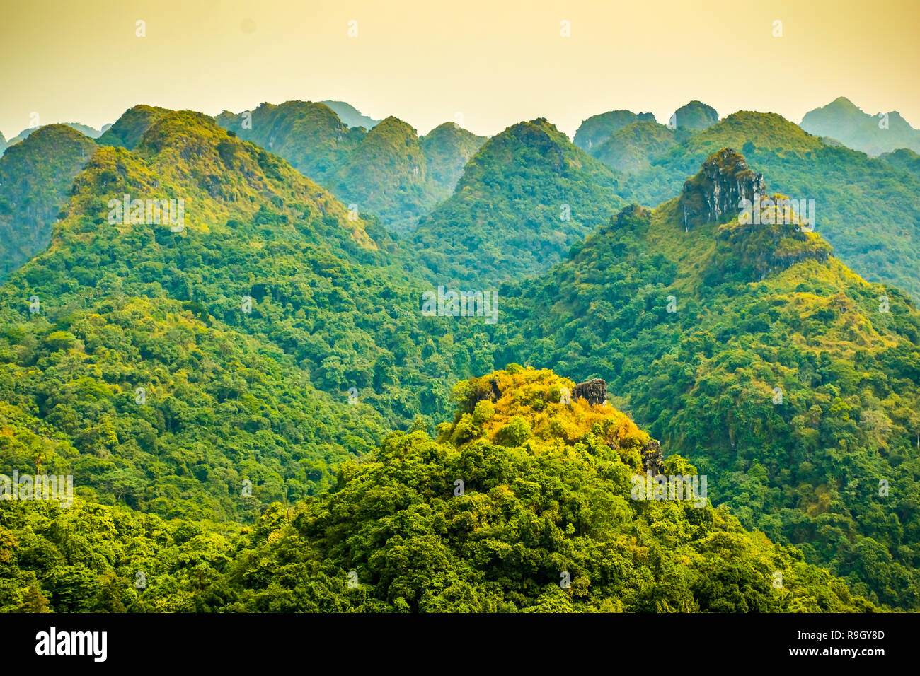 La baie d'Halong vue montagne de l'île de Cat Ba, Ngu Lam Peak au Vietnam Banque D'Images La baie d'Halong vue montagne de l'île de Cat Ba, Ngu Lam Peak au Vietnam Banque D'Images