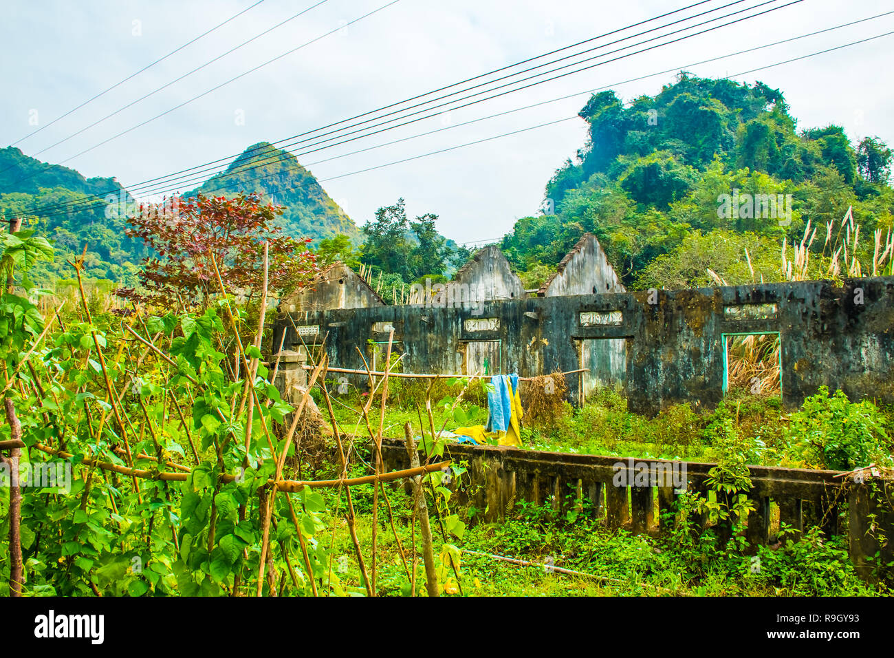 Un ancien bâtiment de ferme en ruine dans la jungle de la Parc National de Cat Ba au Vietnam Banque D'Images