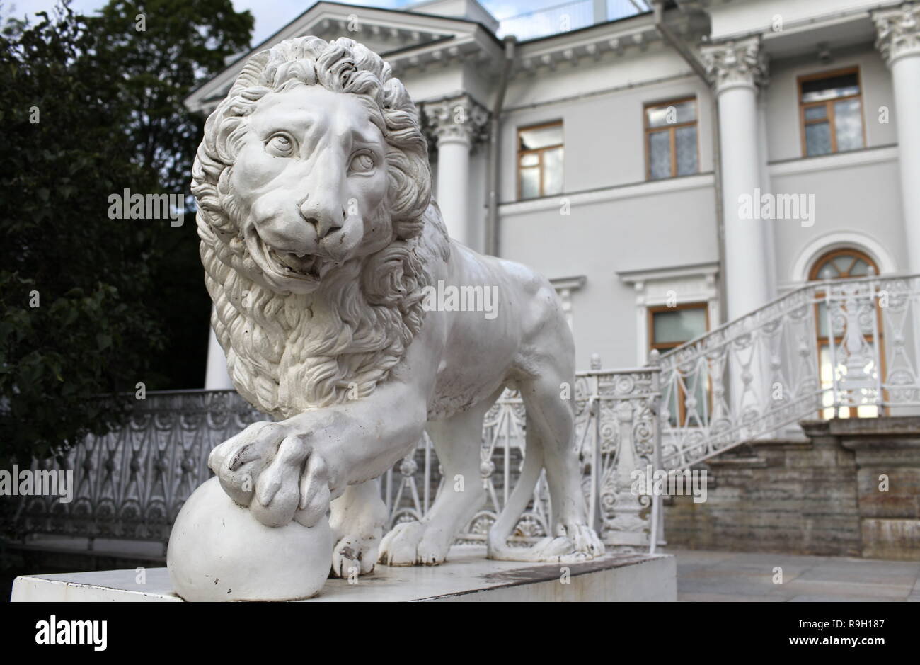 Sculpture Lion Palais Yelagin St. Banque D'Images