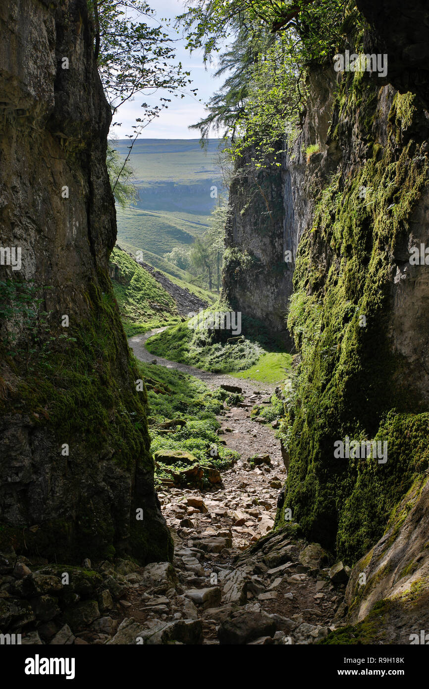 Trow Gill ; Clapham, Yorkshire, UK Banque D'Images