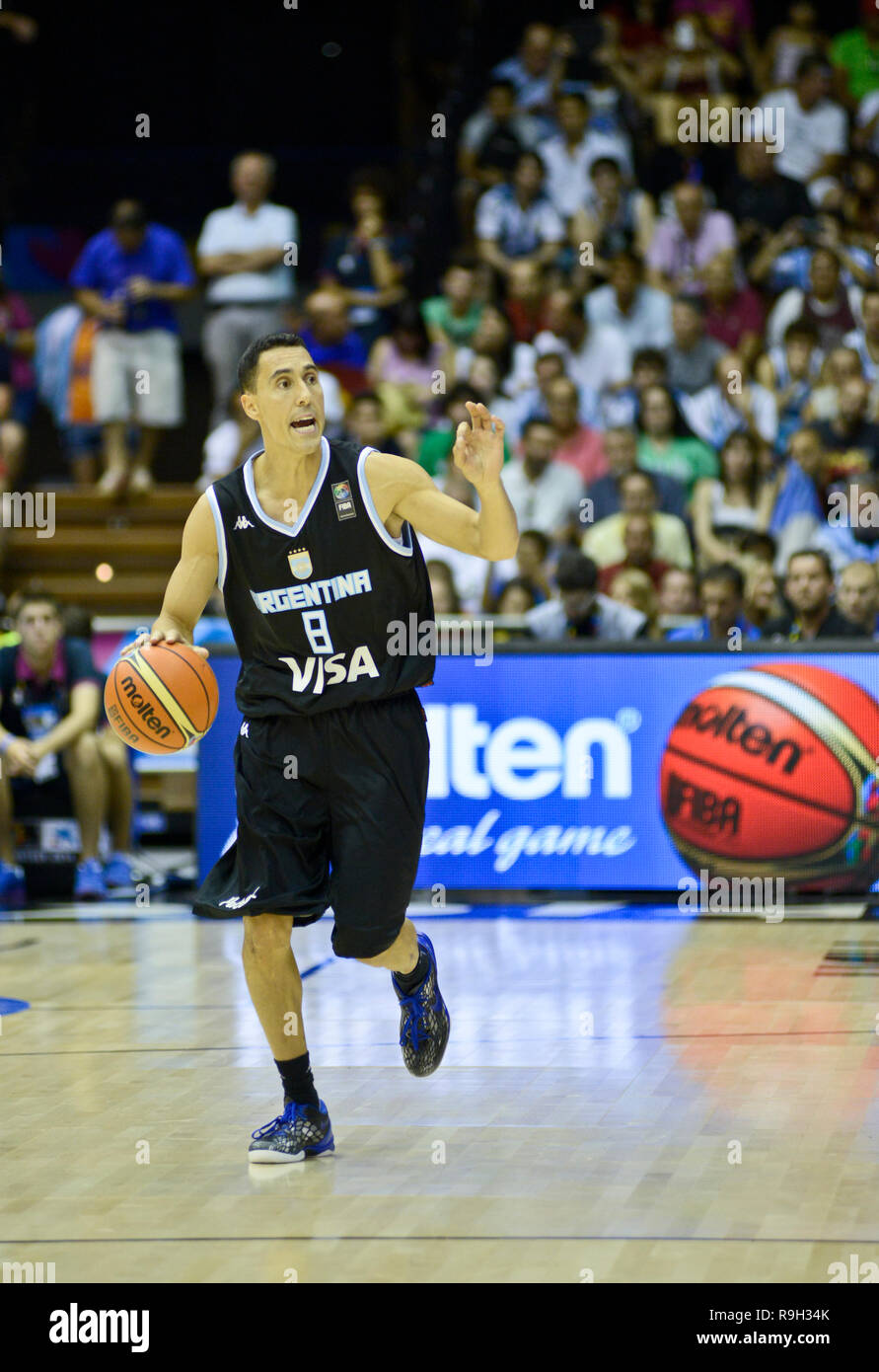 Pablo Prigioni. L'Argentine Équipe nationale de basket-ball. Coupe du Monde  de Basket-ball de la FIBA, l'Espagne 2014 Photo Stock - Alamy