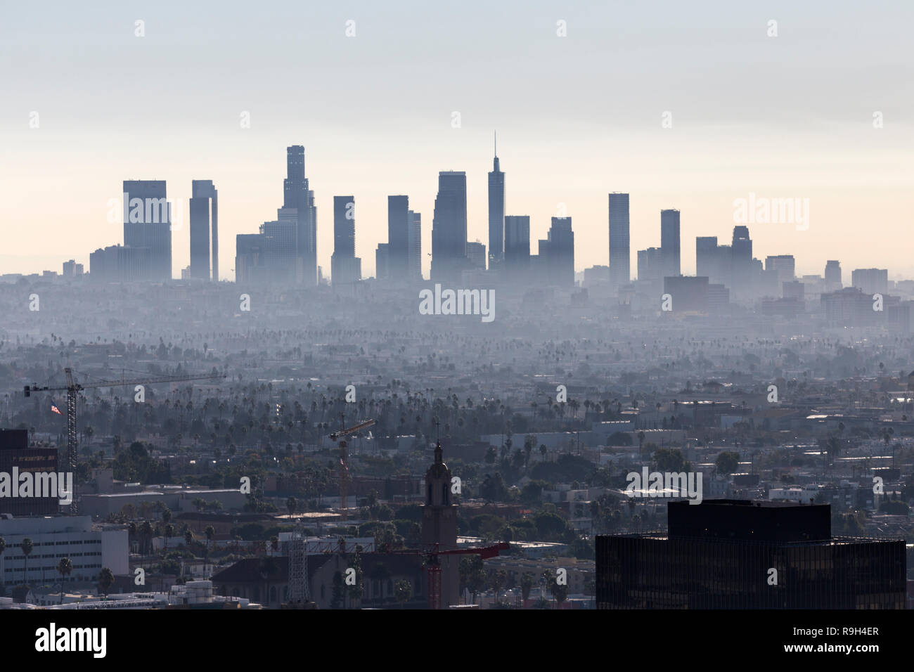 Matin brumeux vue sur l'horizon du centre-ville de Los Angeles en Californie du Sud. Banque D'Images