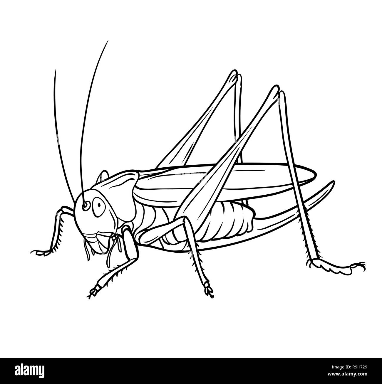 Sauterelle. Le style dessiné à la main pour l'illustration vecteur conception Illustration de Vecteur