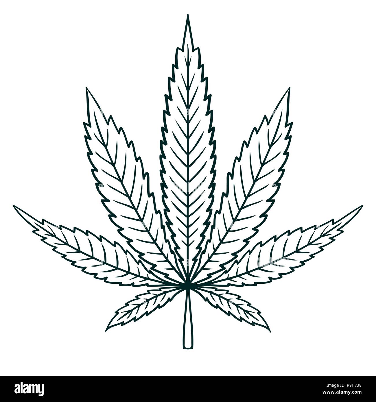 Le cannabis (marijuana) Feuille de style vintage à plat. Fiche de l'image du contour Illustration de Vecteur