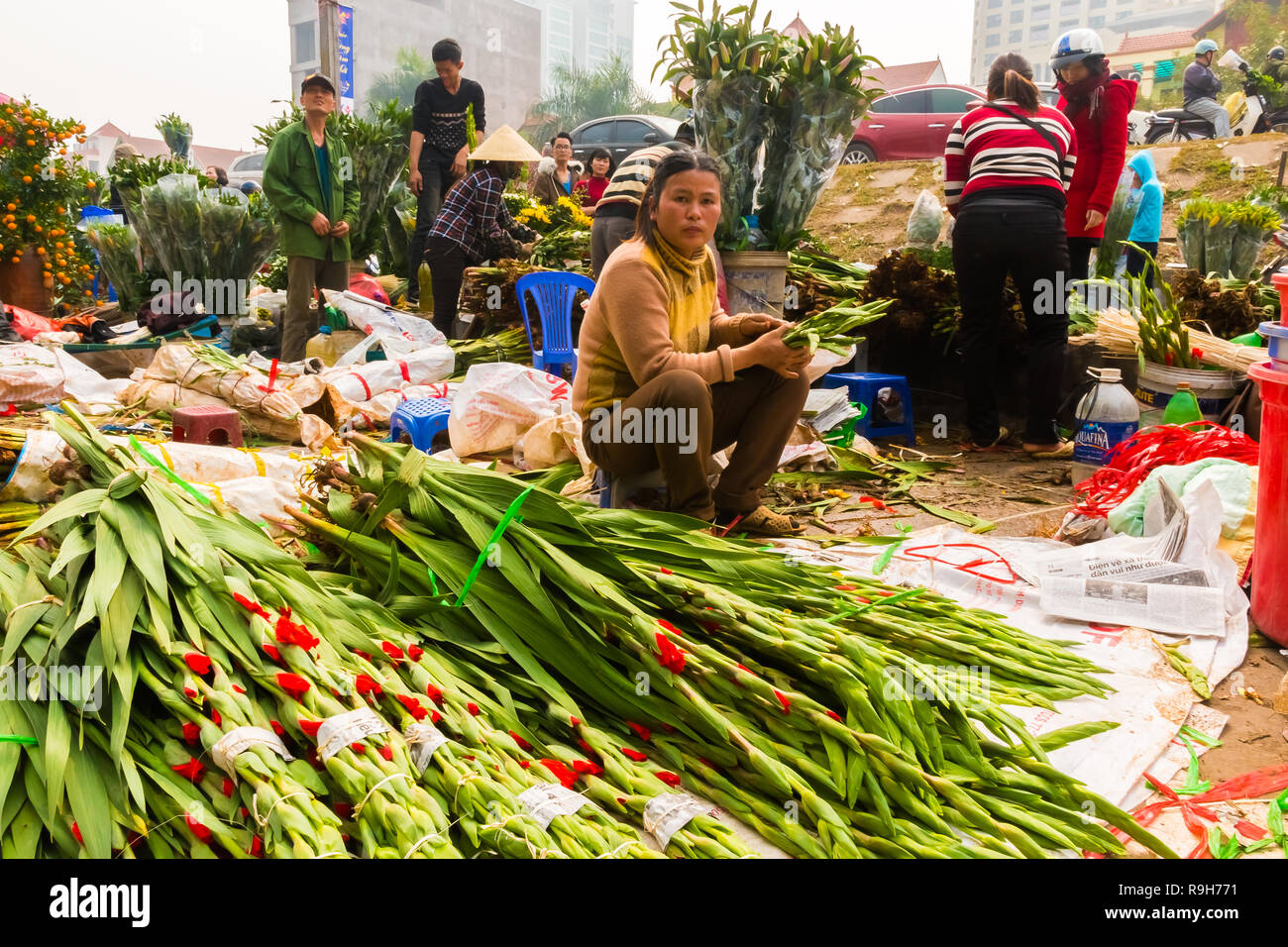 HANOI, VIETNAM - 14 février : vendeuse de fleurs non identifiées à l'Quang Ba marché aux fleurs le 14 février 2018 à Hanoi, Vietnam en Asie Banque D'Images