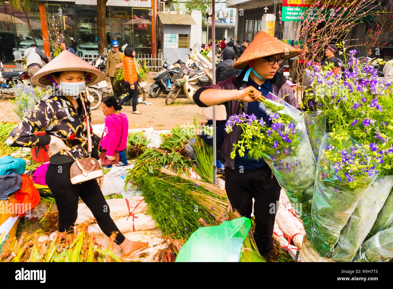 HANOI, VIETNAM - 14 février : vendeuse de fleurs non identifiées à l'Quang Ba marché aux fleurs le 14 février 2018 à Hanoi, Vietnam en Asie Banque D'Images