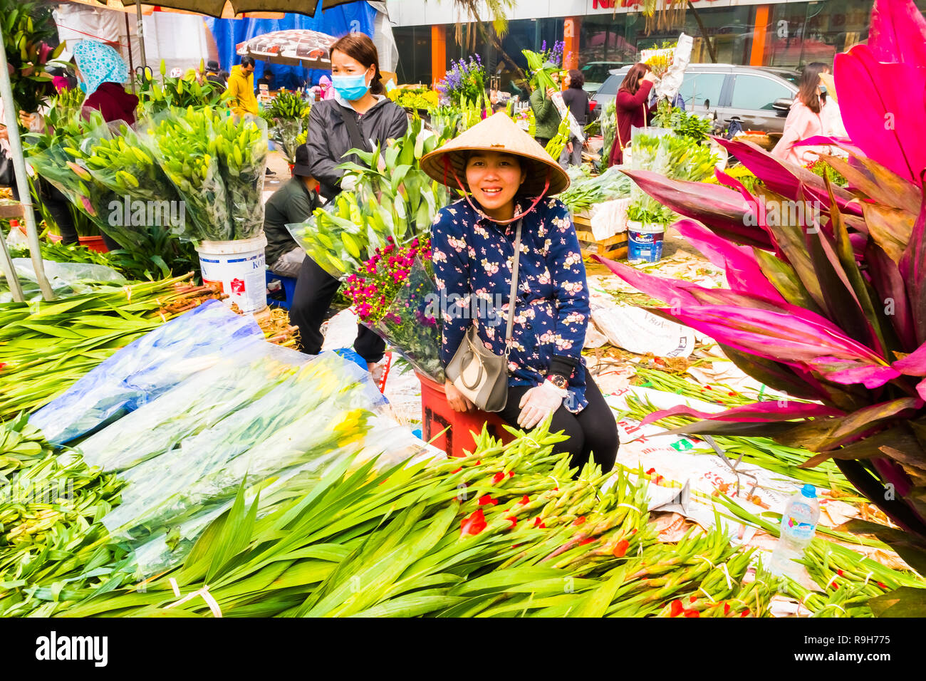 HANOI, VIETNAM - 14 février : vendeuse de fleurs non identifiées à l'Quang Ba marché aux fleurs le 14 février 2018 à Hanoi, Vietnam en Asie Banque D'Images