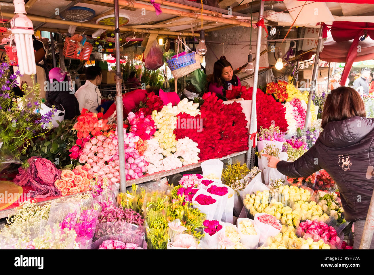 HANOI, VIETNAM - 14 février : vendeuse de fleurs non identifiées à l'Quang Ba marché aux fleurs le 14 février 2018 à Hanoi, Vietnam en Asie Banque D'Images