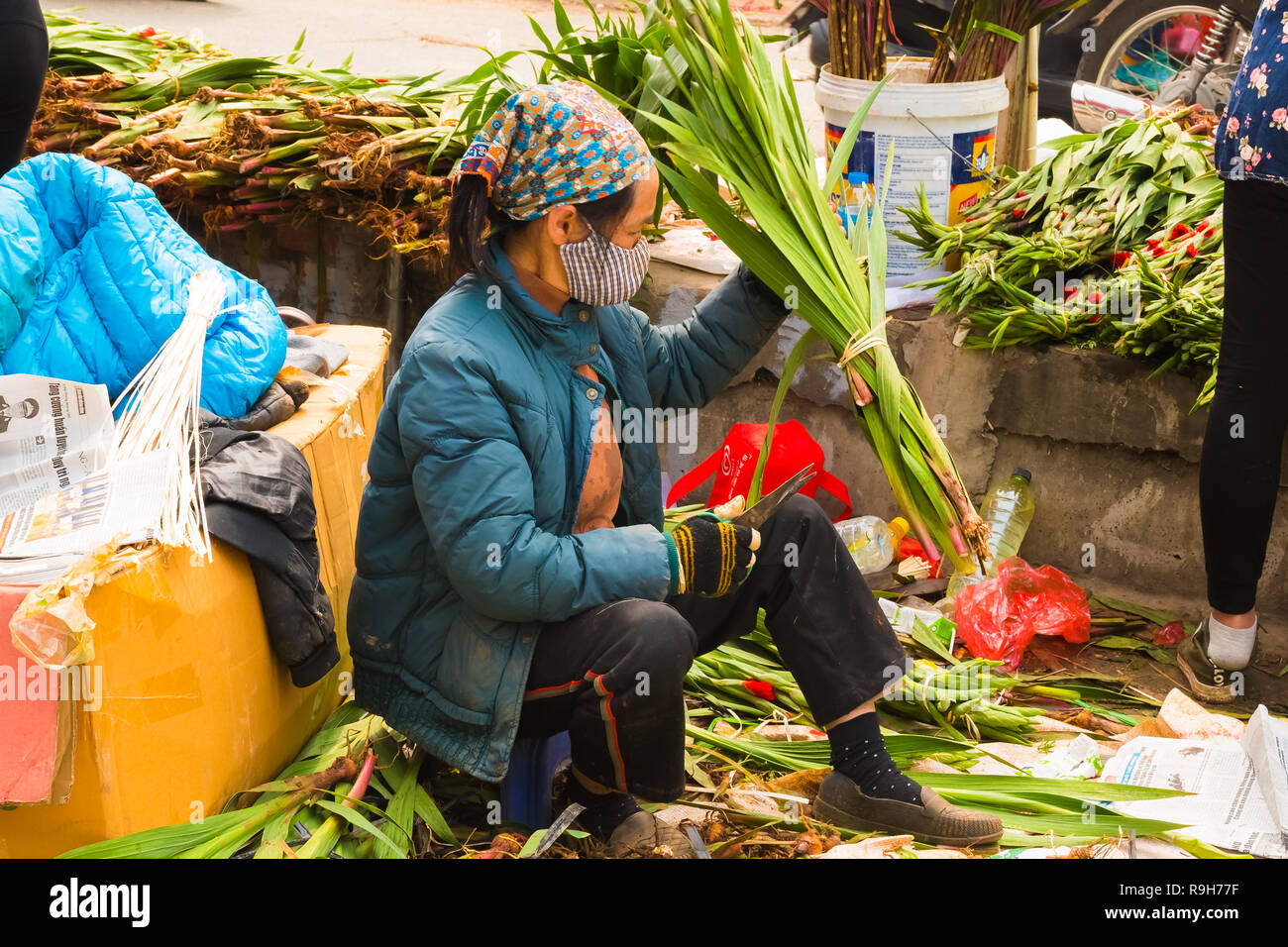 HANOI, VIETNAM - 14 février : vendeuse de fleurs non identifiées à l'Quang Ba marché aux fleurs le 14 février 2018 à Hanoi, Vietnam en Asie Banque D'Images