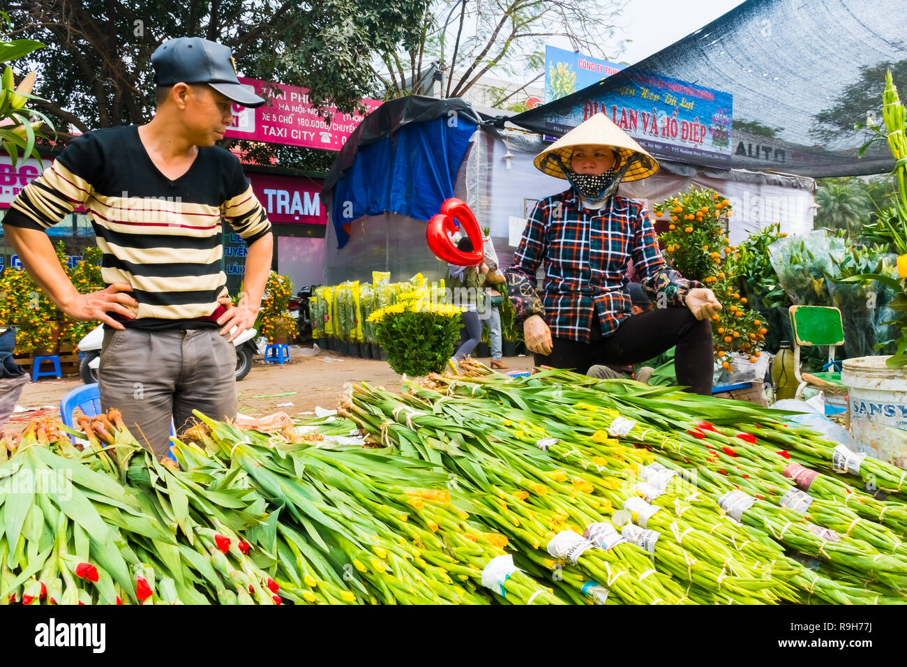 HANOI, VIETNAM - 14 février : vendeuse de fleurs non identifiées à l'Quang Ba marché aux fleurs le 14 février 2018 à Hanoi, Vietnam en Asie Banque D'Images
