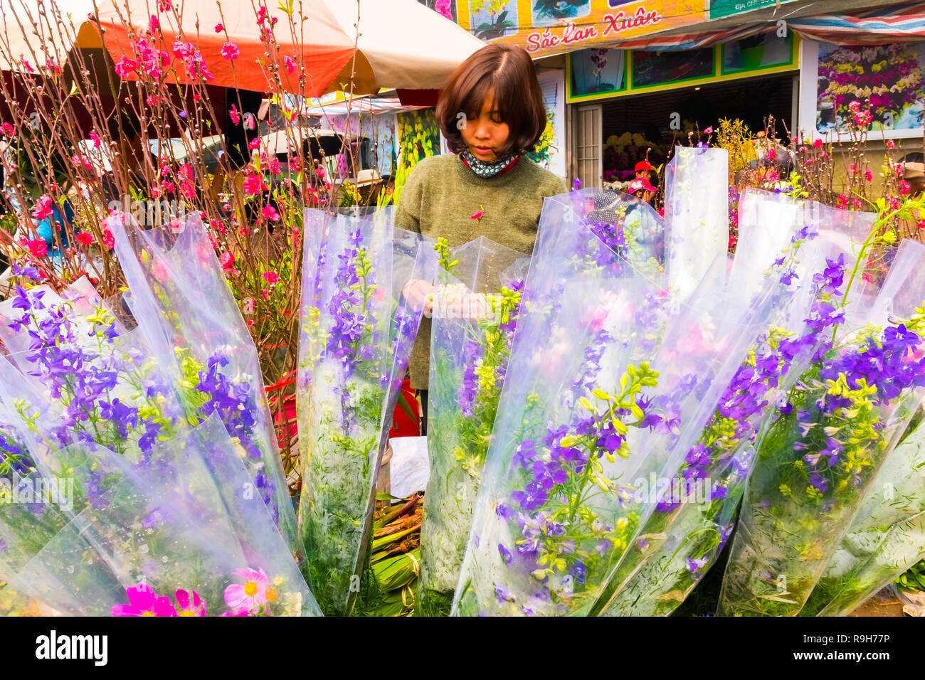 HANOI, VIETNAM - 14 février : vendeuse de fleurs non identifiées à l'Quang Ba marché aux fleurs le 14 février 2018 à Hanoi, Vietnam en Asie Banque D'Images