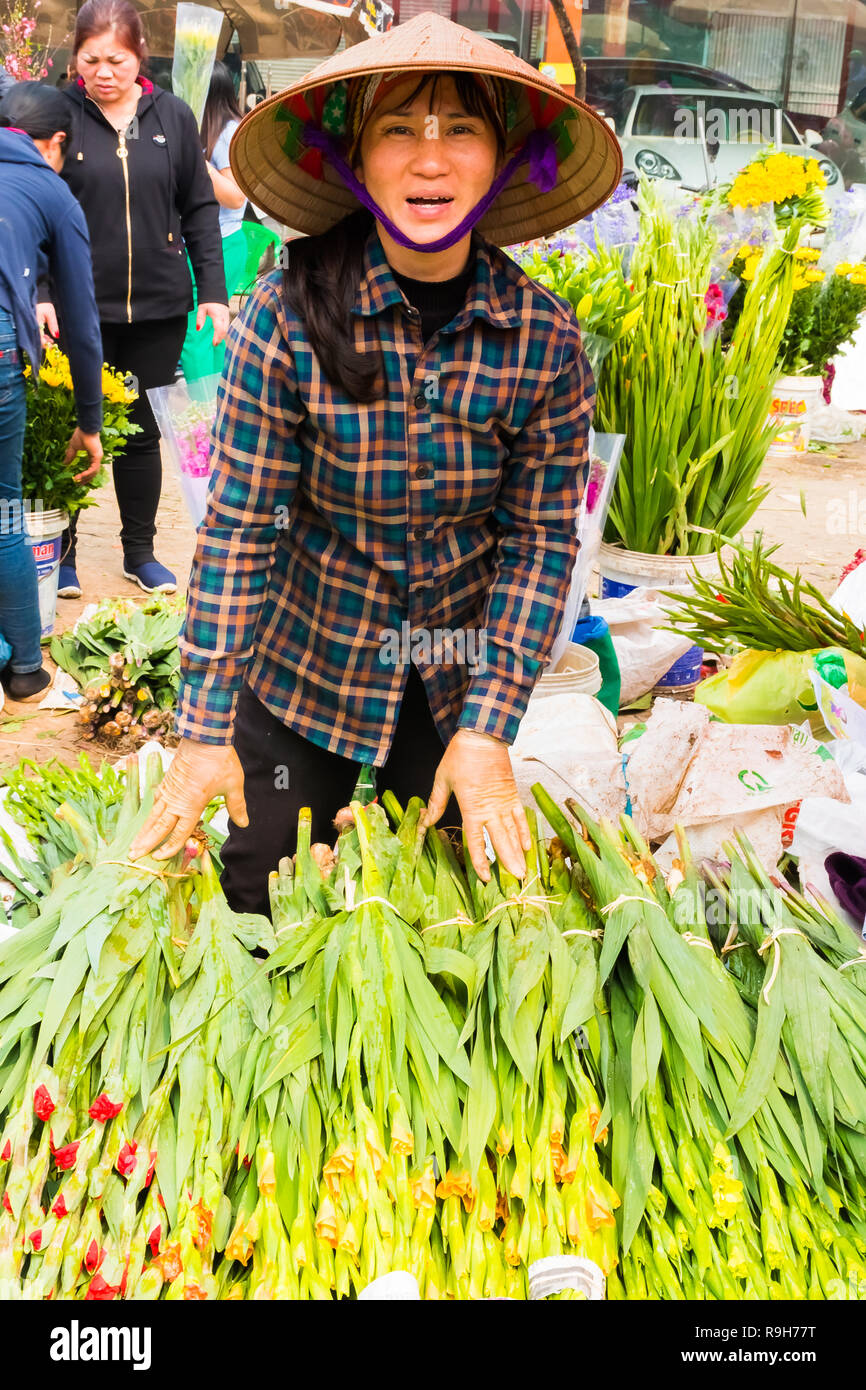 HANOI, VIETNAM - 14 février : vendeuse de fleurs non identifiées à l'Quang Ba marché aux fleurs le 14 février 2018 à Hanoi, Vietnam en Asie Banque D'Images