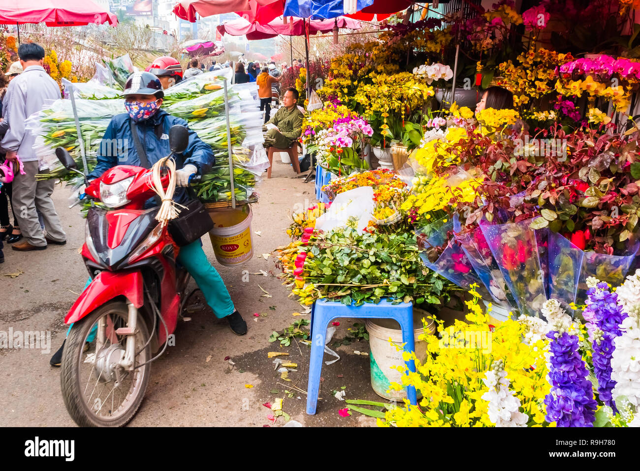 HANOI, VIETNAM - 14 février : vendeuse de fleurs non identifiées à l'Quang Ba marché aux fleurs le 14 février 2018 à Hanoi, Vietnam en Asie Banque D'Images
