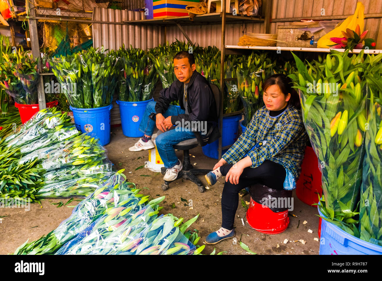 HANOI, VIETNAM - 14 février : vendeuse de fleurs non identifiées à l'Quang Ba marché aux fleurs le 14 février 2018 à Hanoi, Vietnam en Asie Banque D'Images
