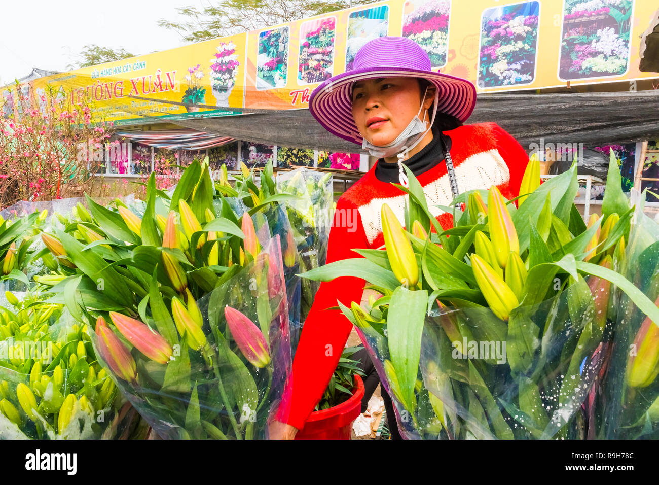 HANOI, VIETNAM - 14 février : vendeuse de fleurs non identifiées à l'Quang Ba marché aux fleurs le 14 février 2018 à Hanoi, Vietnam en Asie Banque D'Images