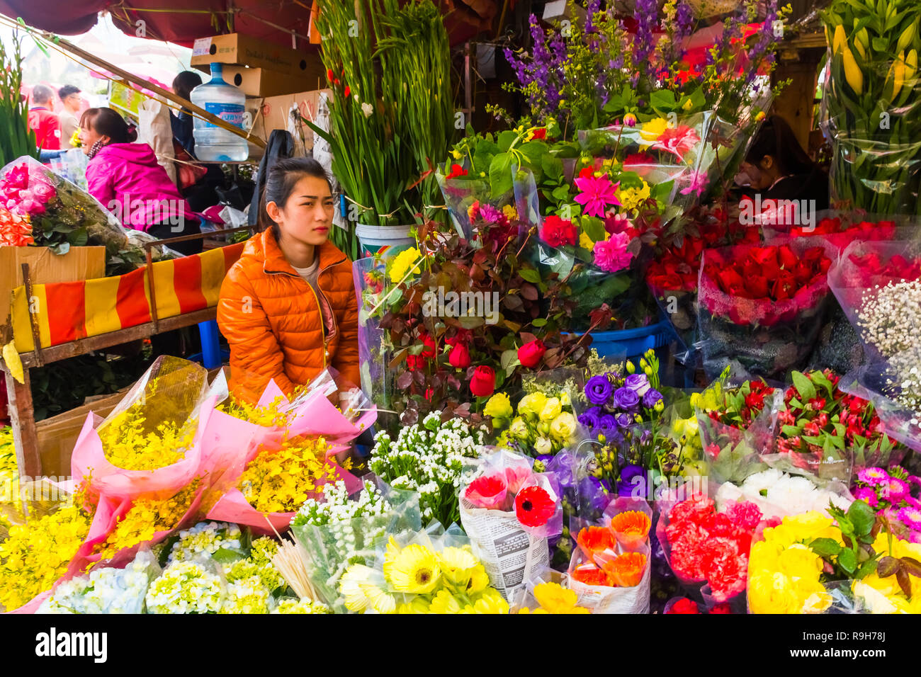 HANOI, VIETNAM - 14 février : vendeuse de fleurs non identifiées à l'Quang Ba marché aux fleurs le 14 février 2018 à Hanoi, Vietnam en Asie Banque D'Images