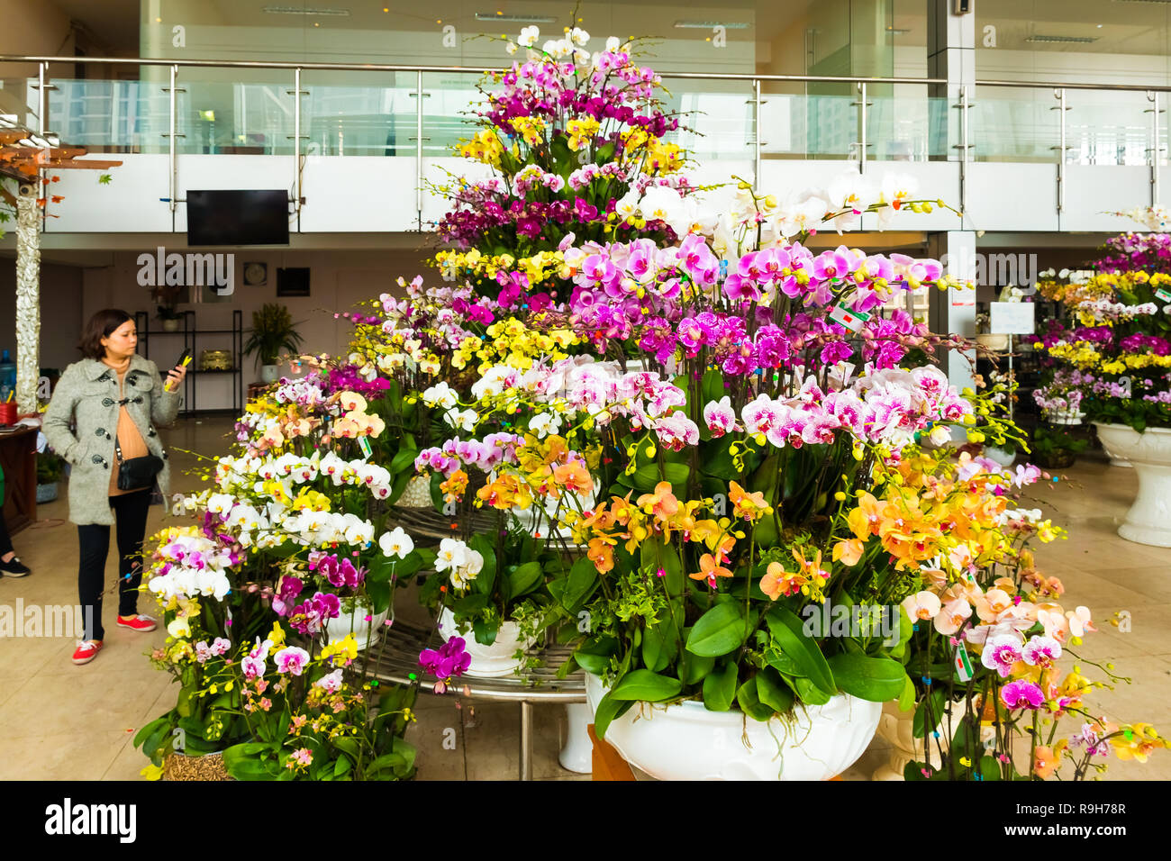 HANOI, VIETNAM - 14 février : vendeuse de fleurs non identifiées à l'Quang Ba marché aux fleurs le 14 février 2018 à Hanoi, Vietnam en Asie Banque D'Images