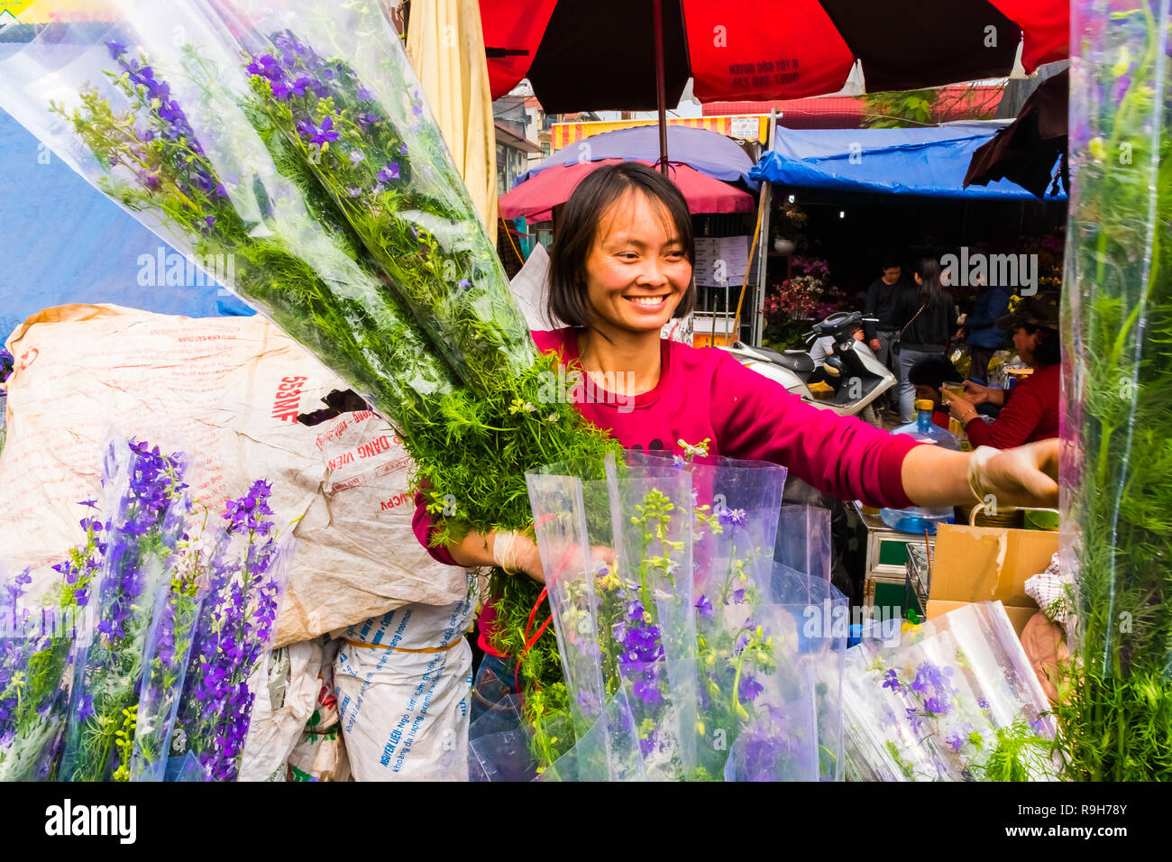 HANOI, VIETNAM - 14 février : vendeuse de fleurs non identifiées à l'Quang Ba marché aux fleurs le 14 février 2018 à Hanoi, Vietnam en Asie Banque D'Images