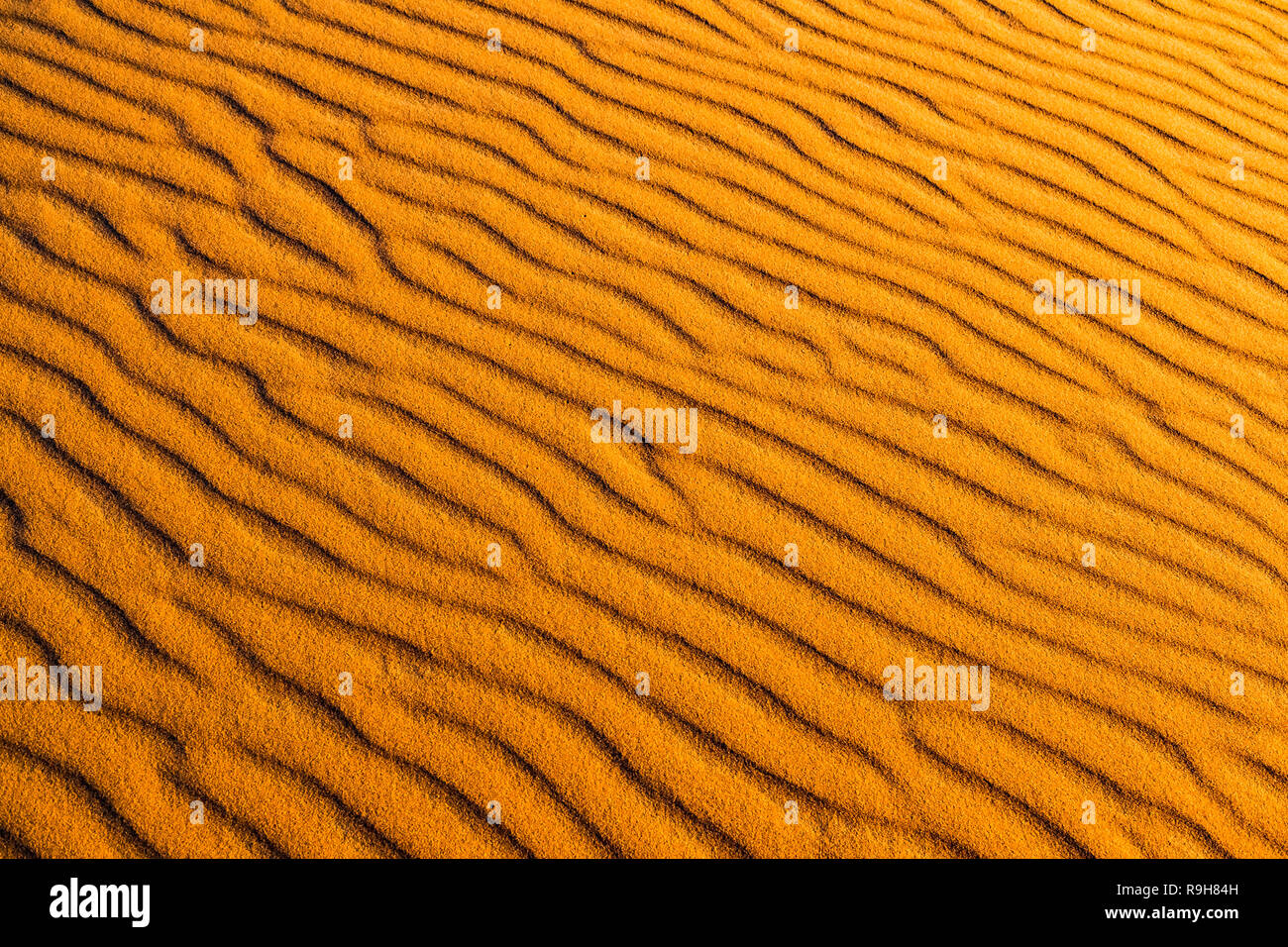 Vagues de dunes Orange motif de fond du désert du Sahara, Merzouga, Maroc en Afrique Banque D'Images