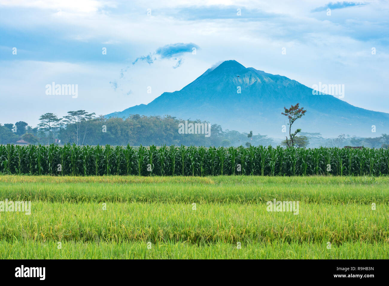 Les terres agricoles en Indonésie avec le volcan Mt Merapi s'élevant dans les nuages. Image paysage. Banque D'Images