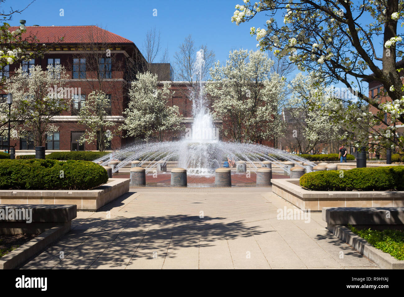 Fontaine Loeb au printemps, Founders Park, Stone Hall en arrière-plan, Purdue University, West Lafayette, Indiana, États-Unis Banque D'Images