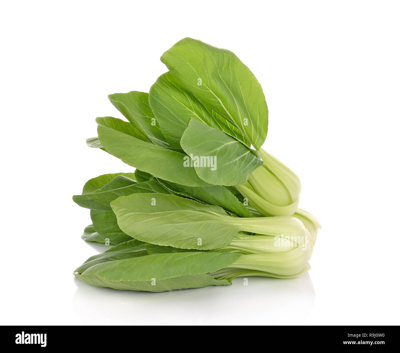 Le Bok choy (chou chinois) isolated on white Banque D'Images