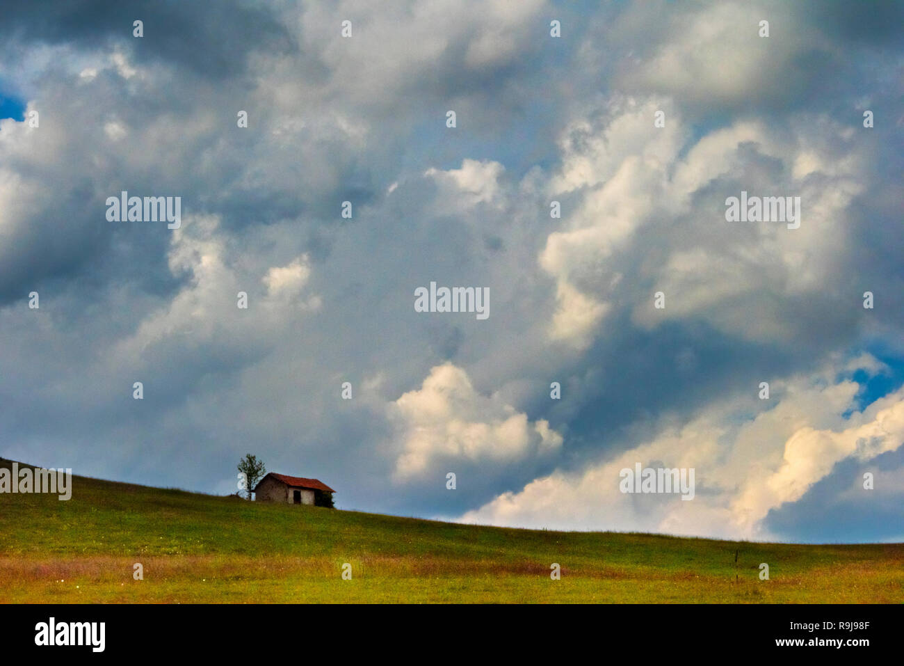 Une petite ferme maison sur la pente du mont Zlatibor, Serbie Banque D'Images