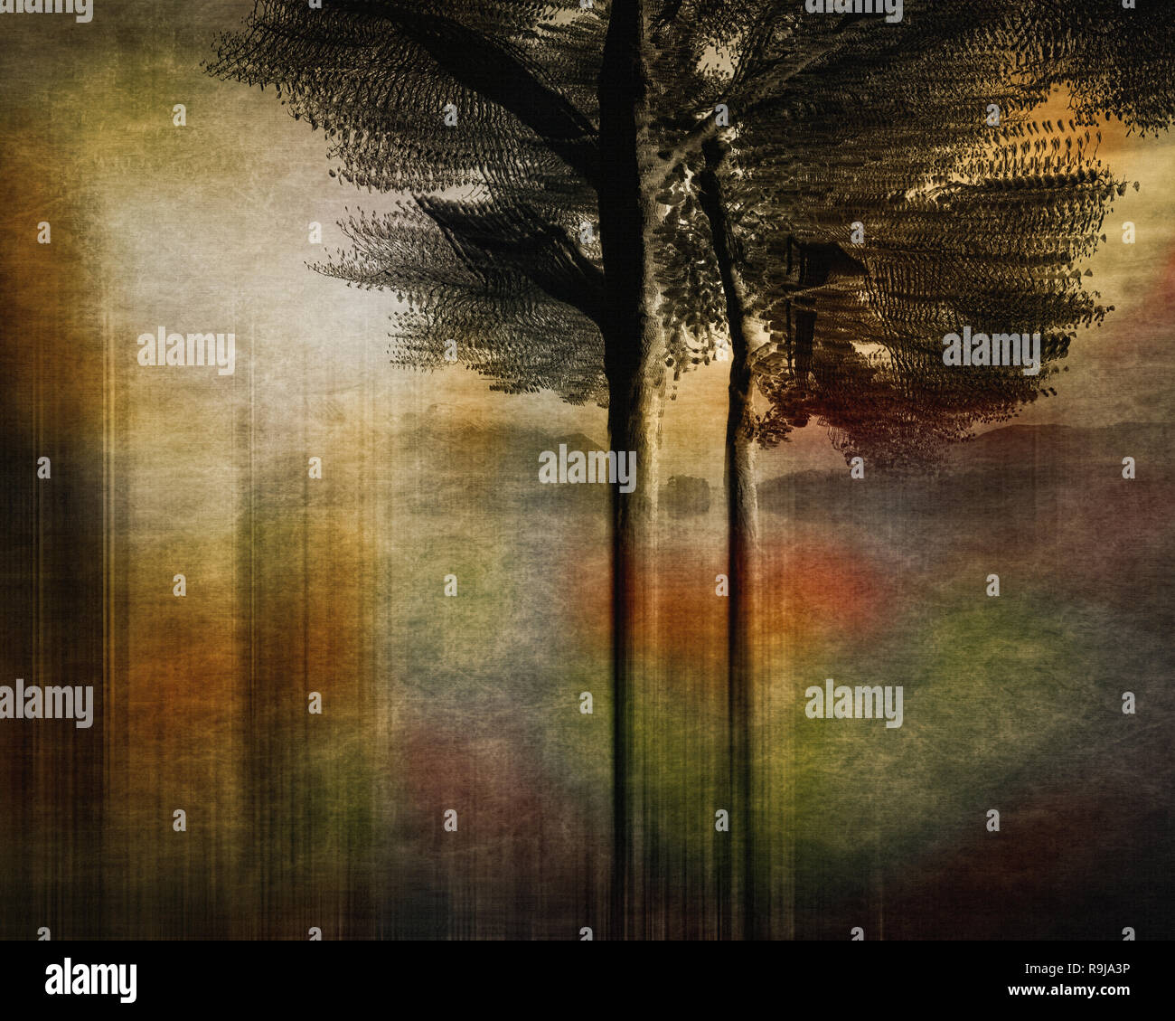 L'ART DE L'ENTREPRISE : Derwent Water dans le district du lac, Grande Bretagne Banque D'Images