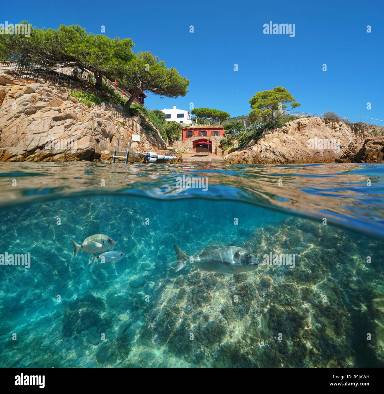 Espagne Costa Brava maison sur côte rocheuse avec des poissons sous l'eau, vue fractionnée au-dessus et au-dessous de la surface, Fornells de Mar village, Begur, mer Méditerranée Banque D'Images