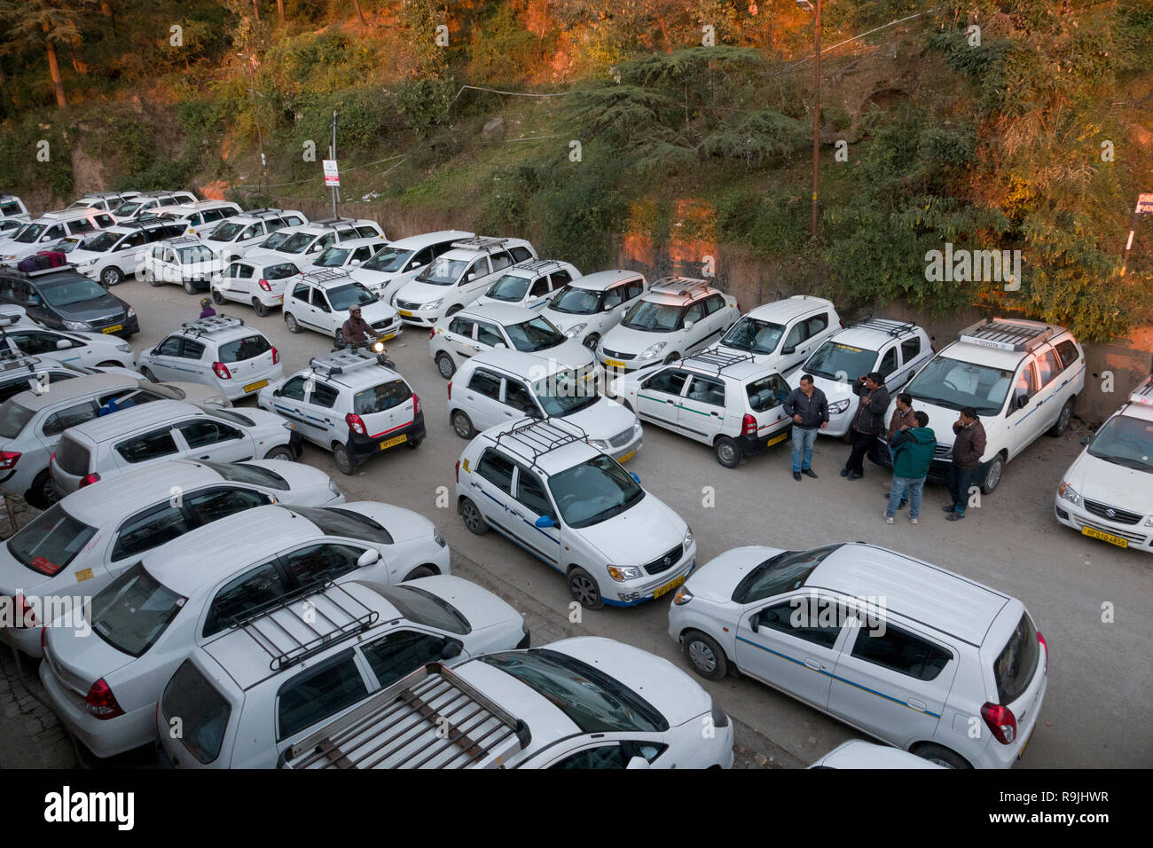 L'abondance des taxis blancs garée près de la place principale de McLeod Ganj, Himachal Pradesh, Inde Banque D'Images
