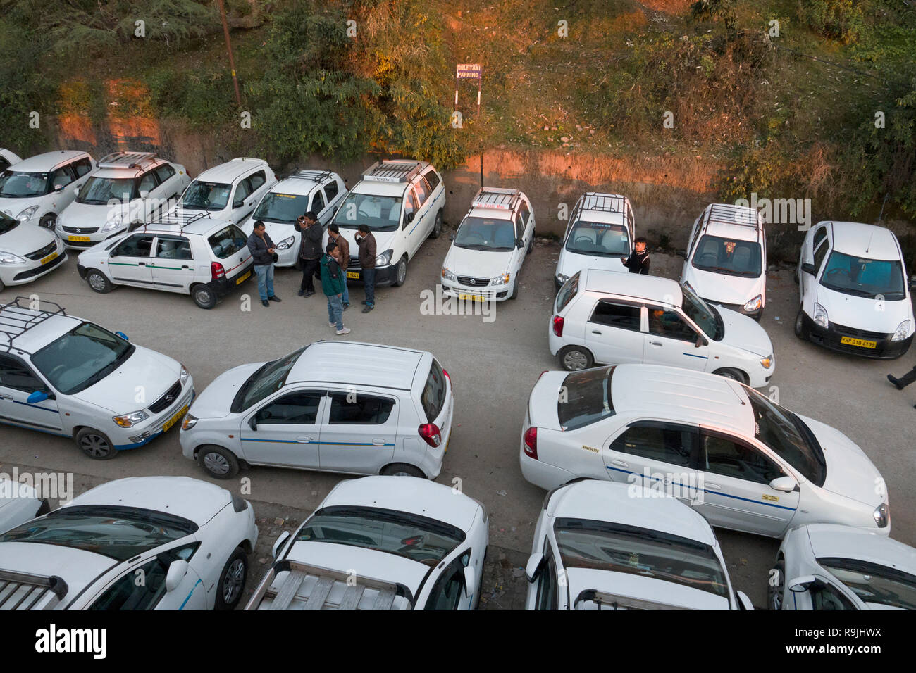 L'abondance des taxis blancs garée près de la place principale de McLeod Ganj, Himachal Pradesh, Inde Banque D'Images