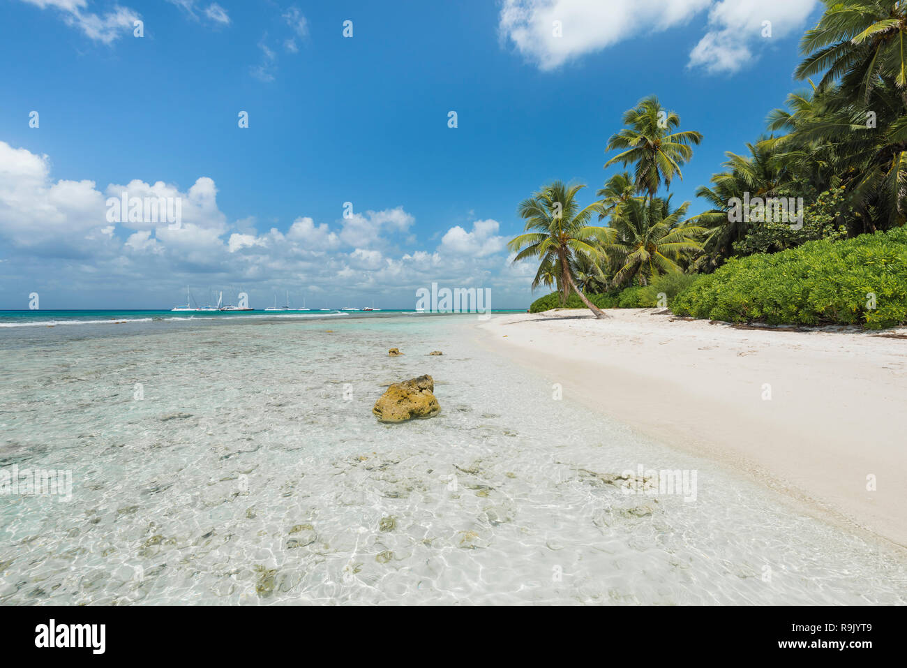 Traumstrand der Karibik, plages de rêve dans les Caraïbes Banque D'Images