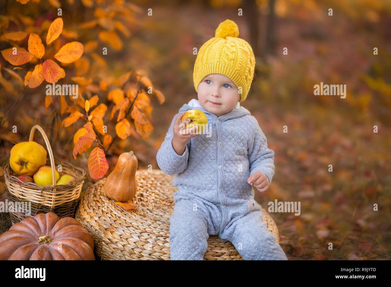 Peu mignon b b gar on en jaune bonnet hiver assis sur citrouille
