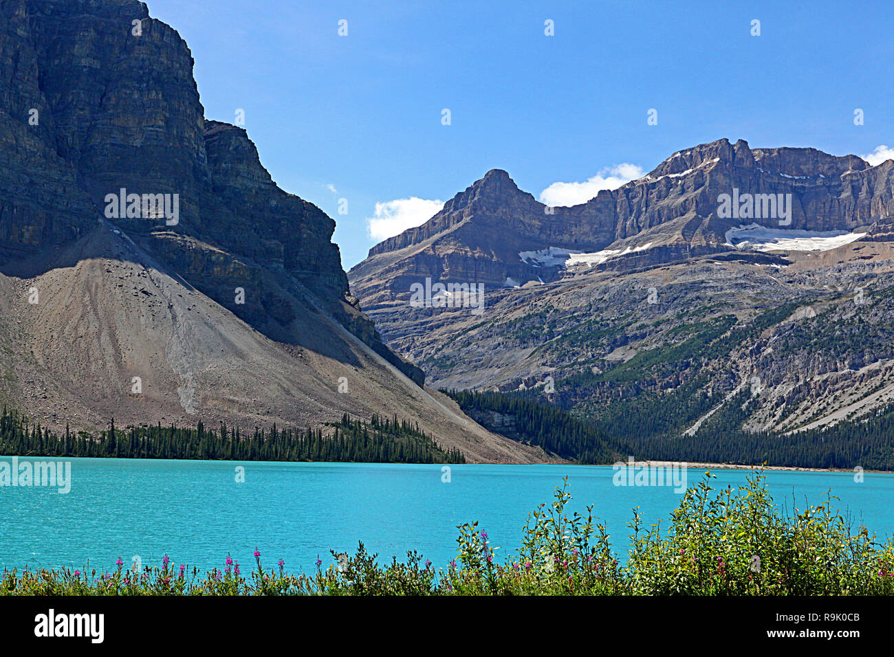 Le Lac Bow est un lac alimenté par les glaciers dans le parc national de Banff dans les Rocheuses canadiennes, le long de la promenade des Glaciers, l'Alberta Highway # 93. Banque D'Images