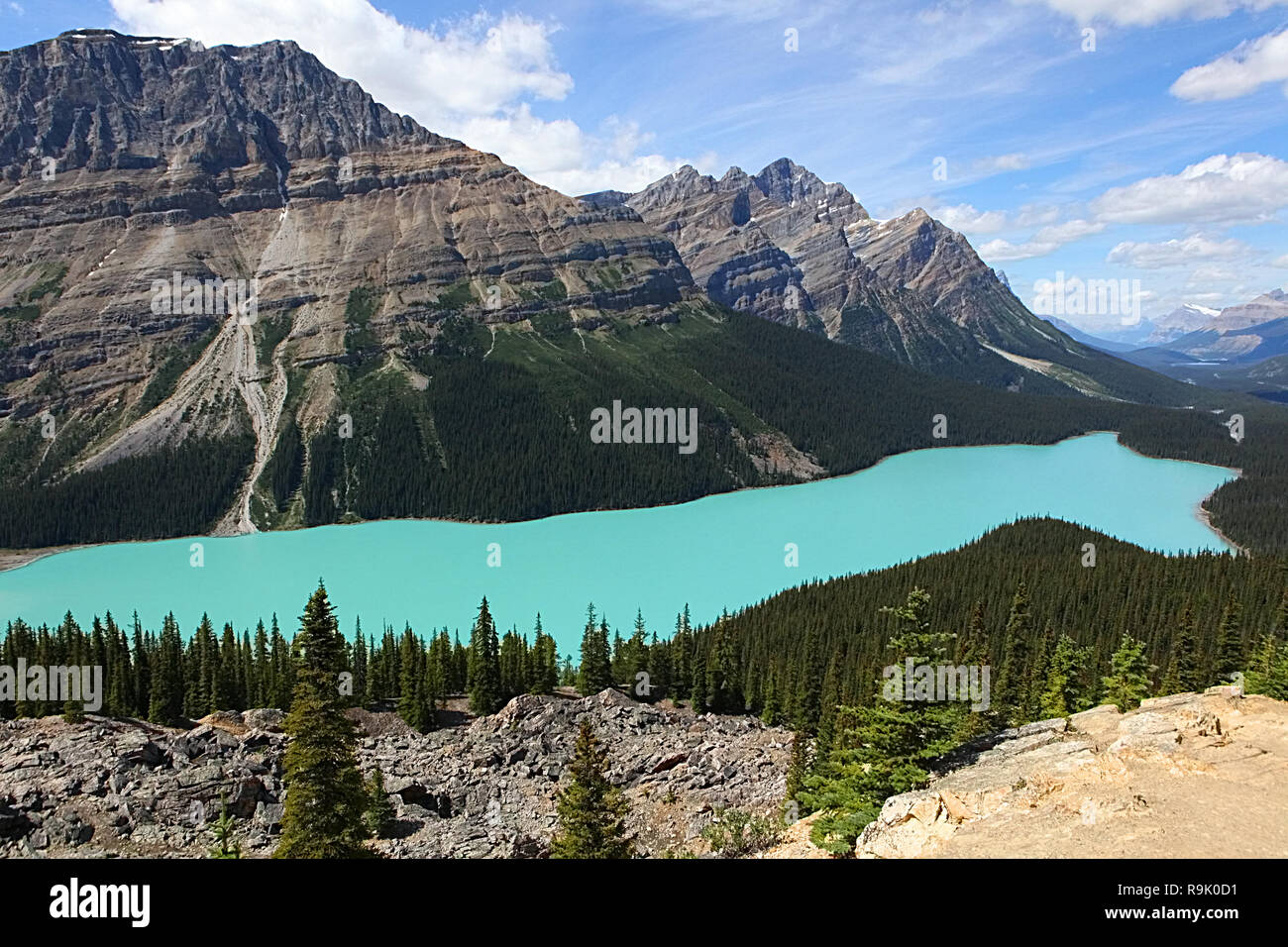 Le glacier Peyto Lake est un lac dans le parc national de Banff dans les Rocheuses canadiennes, le long de la promenade des Glaciers, l'Alberta Highway # 93. Banque D'Images