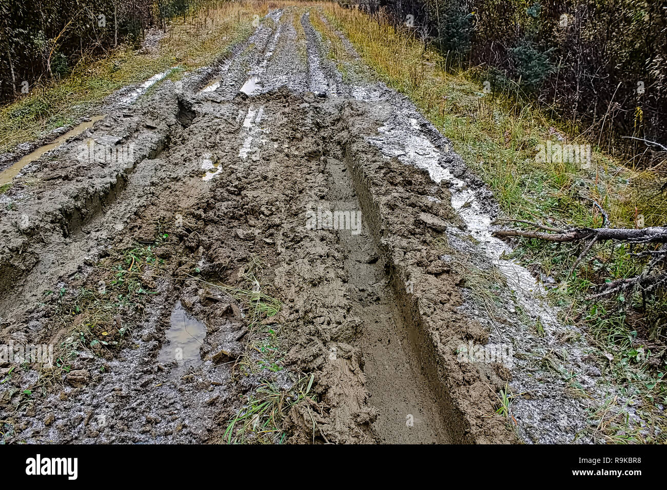 Recherche Durametric dans le sud est ... Libre-d-une-route-boueuse-pleine-d-ornieres-r9kbr8