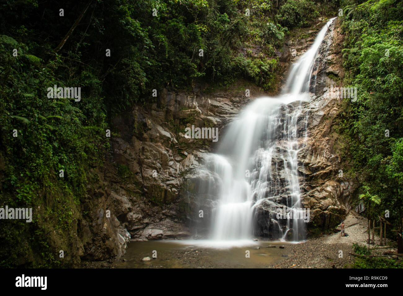 Une cascade dans le parc national Podocarpus, Equateur Banque D'Images