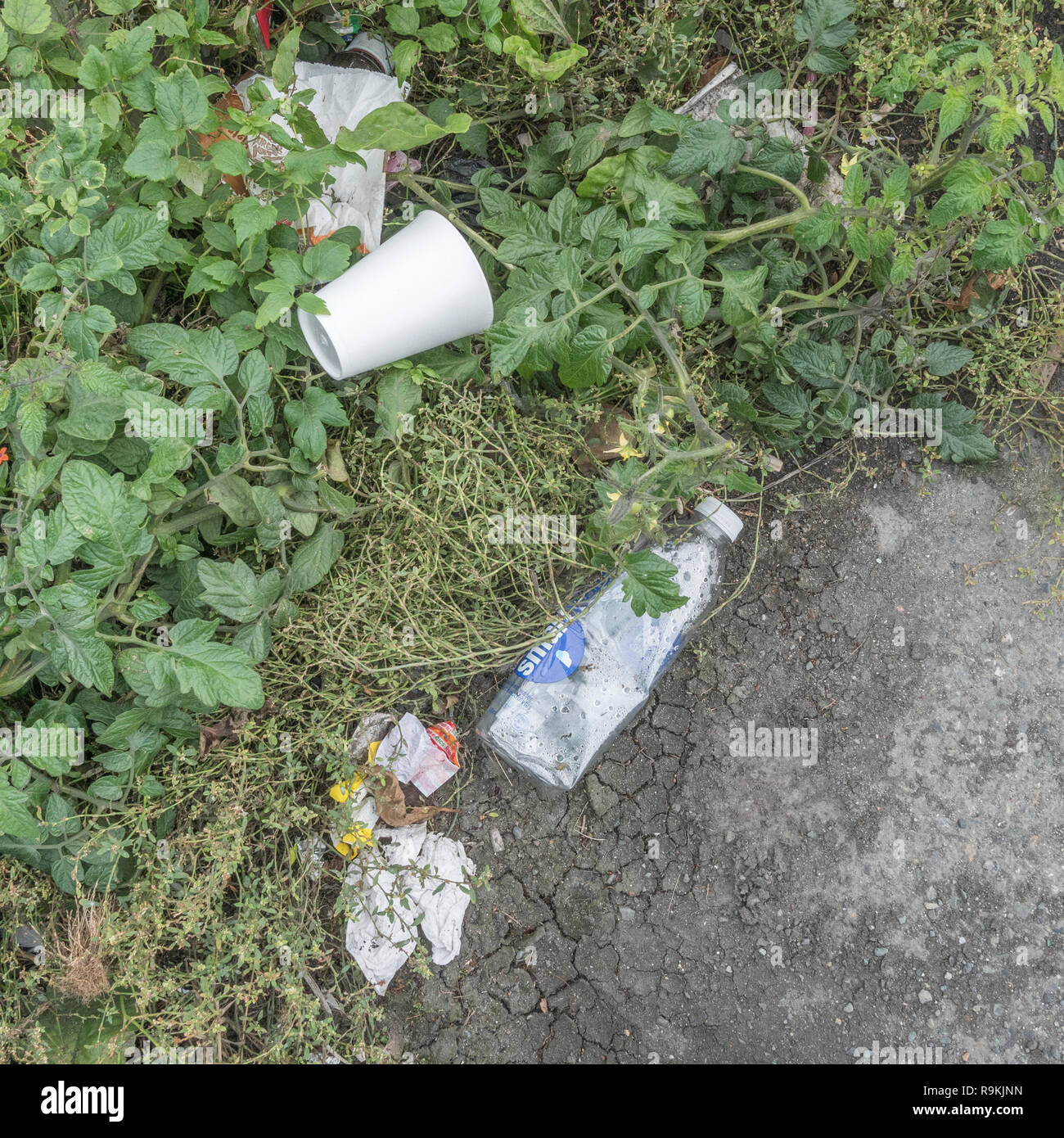 Polystyrène et ordures en plastique jetés dans la rue arrière urbaine herbeuse. Pour la pollution plastique, la pollution environnementale, la guerre contre les déchets plastiques, le décollage. Banque D'Images